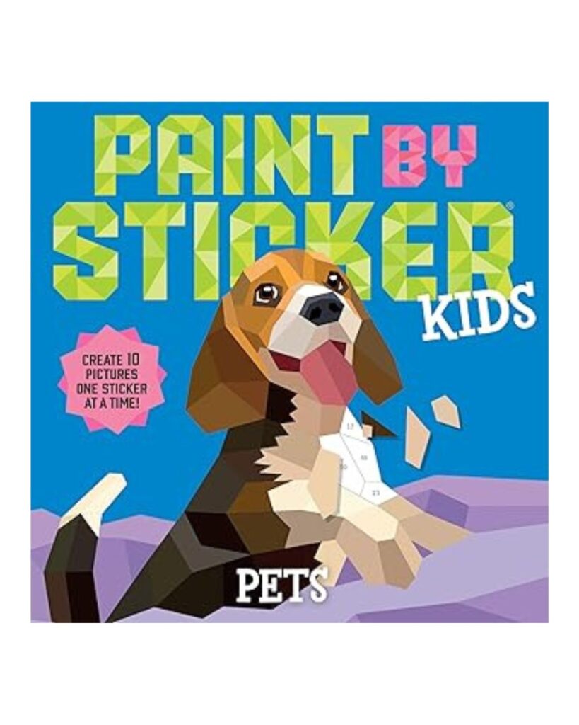 Paint by Sticker book