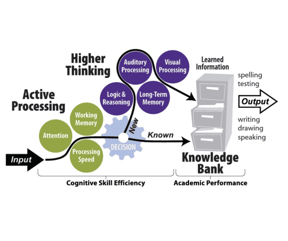 Jon Peterson Scholarship for Homeschool Students | LearningRx Columbus-Dublin – Brain Training & IEP Support