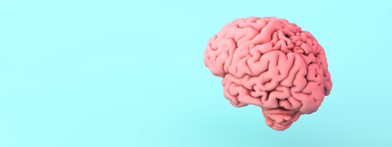 Show Your Brain Some Love 7 Tips To Keep Your Brain Happy And Healthy 