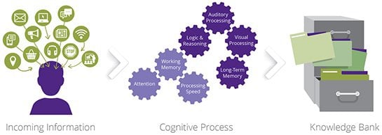 learningRX scientific model